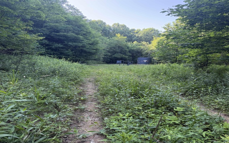 TBD Barbour County Highway, Belington, West Virginia 26250, 0 , 0 ,0,Lots/land,For Sale,Barbour County,0,10165659 TBD Barbour County Highway, Belington, West Virginia 26250, 0 , 0 ,0,Lots/land,For Sale,Barbour County,0,10165659