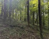 TBD Barbour County Highway, Belington, West Virginia 26250, 0 , 0 ,0,Lots/land,For Sale,Barbour County,0,10165659 TBD Barbour County Highway, Belington, West Virginia 26250, 0 , 0 ,0,Lots/land,For Sale,Barbour County,0,10165659