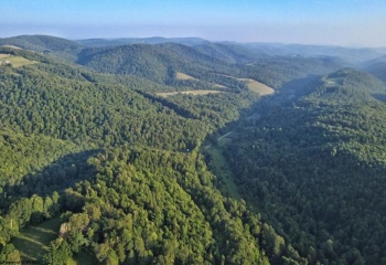00 Saltlick Road, Terra Alta, West Virginia 26764, 0 , 0 ,0,Lots/land,For Sale,Saltlick,0,10165669