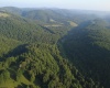 00 Saltlick Road, Terra Alta, West Virginia 26764, 0 , 0 ,0,Lots/land,For Sale,Saltlick,0,10165669