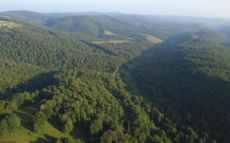 00 Saltlick Road, Terra Alta, West Virginia 26764, 0 , 0 ,0,Lots/land,For Sale,Saltlick,0,10165669