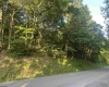 00 Saltlick Road, Terra Alta, West Virginia 26764, 0 , 0 ,0,Lots/land,For Sale,Saltlick,0,10165669