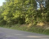 00 Saltlick Road, Terra Alta, West Virginia 26764, 0 , 0 ,0,Lots/land,For Sale,Saltlick,0,10165669