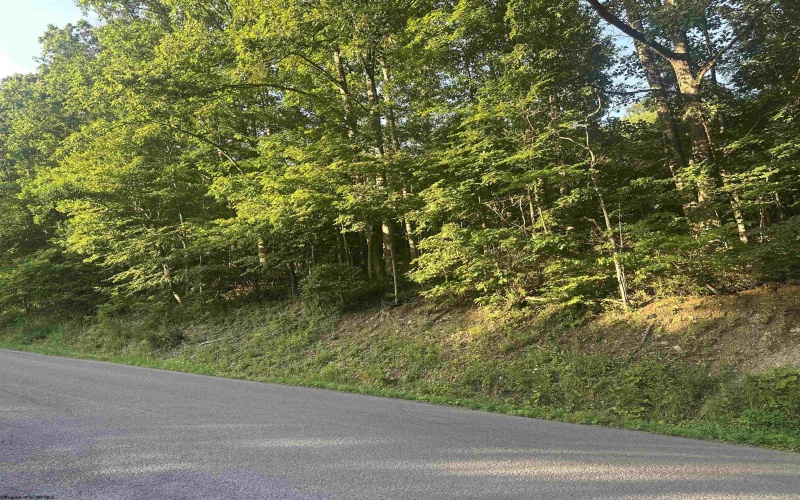 00 Saltlick Road, Terra Alta, West Virginia 26764, 0 , 0 ,0,Lots/land,For Sale,Saltlick,0,10165669
