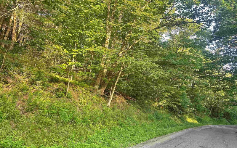 00 Saltlick Road, Terra Alta, West Virginia 26764, 0 , 0 ,0,Lots/land,For Sale,Saltlick,0,10165669
