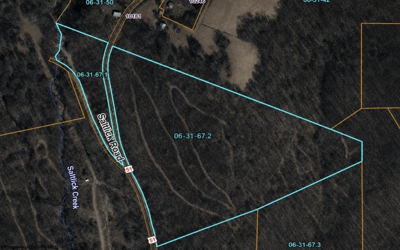 00 Saltlick Road, Terra Alta, West Virginia 26764, 0 , 0 ,0,Lots/land,For Sale,Saltlick,0,10165669