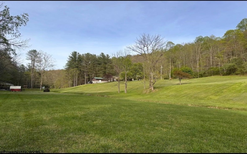 133 Forest Lane, Mannington, West Virginia 26582, 3 Bedrooms Bedrooms, 7 Rooms Rooms,2 BathroomsBathrooms,Single Family Detached,For Sale,Forest,0,10165661
