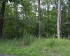 Lot 192 Azalea Drive, Terra Alta, West Virginia 26764, 0 , 0 ,0,Lots/land,For Sale,Azalea,0,10165670