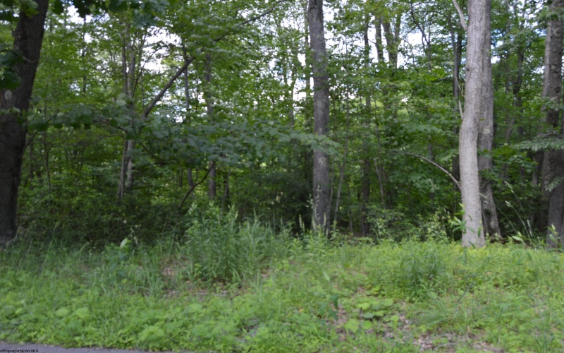 Lot 192 Azalea Drive, Terra Alta, West Virginia 26764, 0 , 0 ,0,Lots/land,For Sale,Azalea,0,10165670