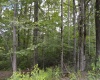 Lot 192 Azalea Drive, Terra Alta, West Virginia 26764, 0 , 0 ,0,Lots/land,For Sale,Azalea,0,10165670