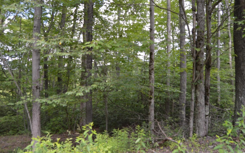 Lot 192 Azalea Drive, Terra Alta, West Virginia 26764, 0 , 0 ,0,Lots/land,For Sale,Azalea,0,10165670