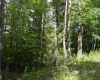 Lot 192 Azalea Drive, Terra Alta, West Virginia 26764, 0 , 0 ,0,Lots/land,For Sale,Azalea,0,10165670