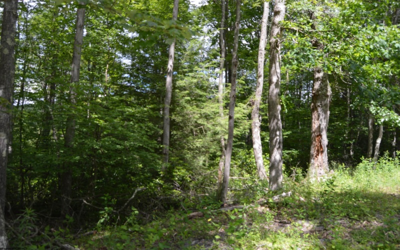 Lot 192 Azalea Drive, Terra Alta, West Virginia 26764, 0 , 0 ,0,Lots/land,For Sale,Azalea,0,10165670