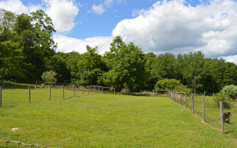 Lot 192 Azalea Drive, Terra Alta, West Virginia 26764, 0 , 0 ,0,Lots/land,For Sale,Azalea,0,10165670