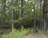 Lot 192 Azalea Drive, Terra Alta, West Virginia 26764, 0 , 0 ,0,Lots/land,For Sale,Azalea,0,10165670