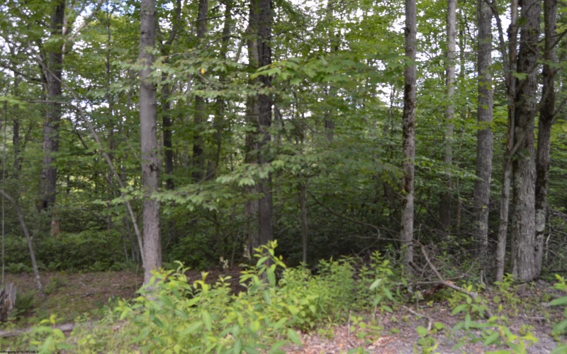 Lot 192 Azalea Drive, Terra Alta, West Virginia 26764, 0 , 0 ,0,Lots/land,For Sale,Azalea,0,10165670