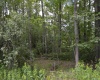 Lot 192 Azalea Drive, Terra Alta, West Virginia 26764, 0 , 0 ,0,Lots/land,For Sale,Azalea,0,10165670