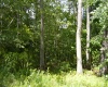 Lot 192 Azalea Drive, Terra Alta, West Virginia 26764, 0 , 0 ,0,Lots/land,For Sale,Azalea,0,10165670