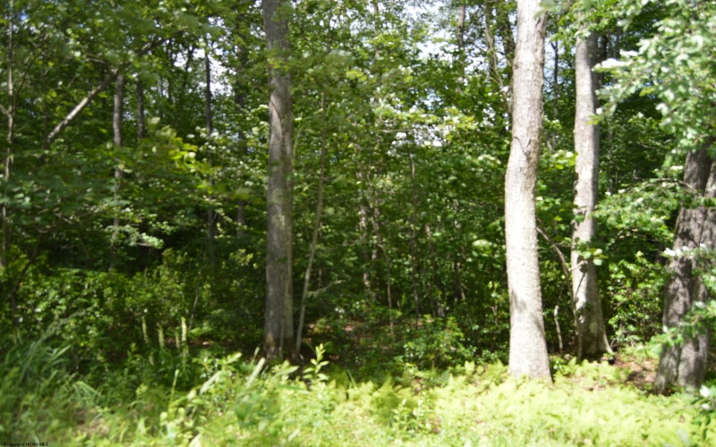 Lot 192 Azalea Drive, Terra Alta, West Virginia 26764, 0 , 0 ,0,Lots/land,For Sale,Azalea,0,10165670