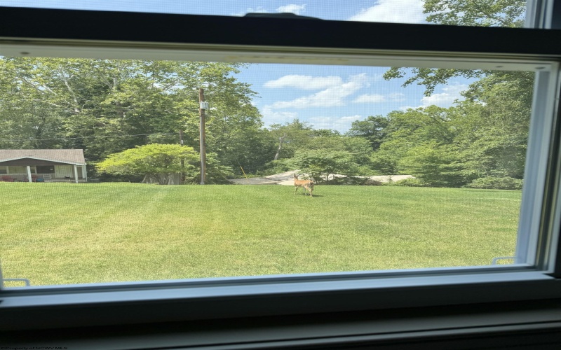800 Country Club Road, Fairmont, West Virginia 26554, 5 Bedrooms Bedrooms, 8 Rooms Rooms,2 BathroomsBathrooms,Single Family Detached,For Sale,Country Club,0,10165675