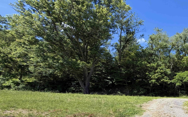 517 Hoult Road, Fairmont, West Virginia 26554, 0 , 0 ,0,Lots/land,For Sale,Hoult,0,10165702