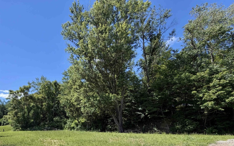 517 Hoult Road, Fairmont, West Virginia 26554, 0 , 0 ,0,Lots/land,For Sale,Hoult,0,10165702