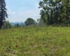 517 Hoult Road, Fairmont, West Virginia 26554, 0 , 0 ,0,Lots/land,For Sale,Hoult,0,10165702