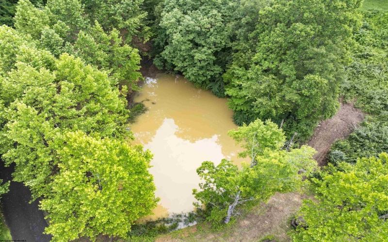 Lot 1 Tulip Lane, Fairmont, West Virginia 26554, 0 , 0 ,0,Lots/land,For Sale,Tulip,0,10165685