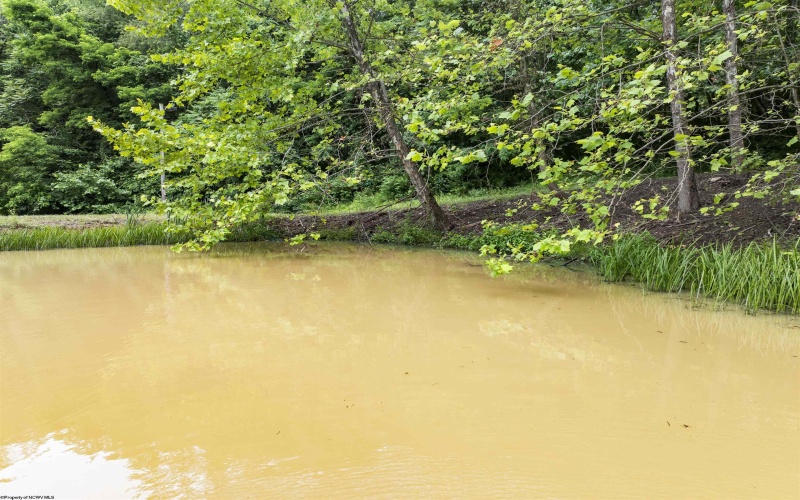 Lot 1 Tulip Lane, Fairmont, West Virginia 26554, 0 , 0 ,0,Lots/land,For Sale,Tulip,0,10165685