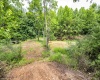 Lot 1 Tulip Lane, Fairmont, West Virginia 26554, 0 , 0 ,0,Lots/land,For Sale,Tulip,0,10165685