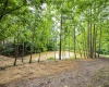 Lot 1 Tulip Lane, Fairmont, West Virginia 26554, 0 , 0 ,0,Lots/land,For Sale,Tulip,0,10165685