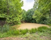 Lot 1 Tulip Lane, Fairmont, West Virginia 26554, 0 , 0 ,0,Lots/land,For Sale,Tulip,0,10165685