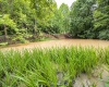 Lot 1 Tulip Lane, Fairmont, West Virginia 26554, 0 , 0 ,0,Lots/land,For Sale,Tulip,0,10165685