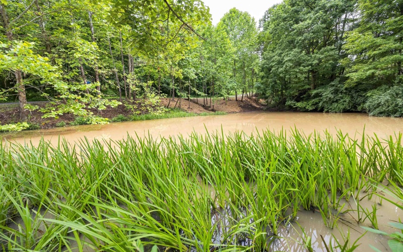 Lot 1 Tulip Lane, Fairmont, West Virginia 26554, 0 , 0 ,0,Lots/land,For Sale,Tulip,0,10165685