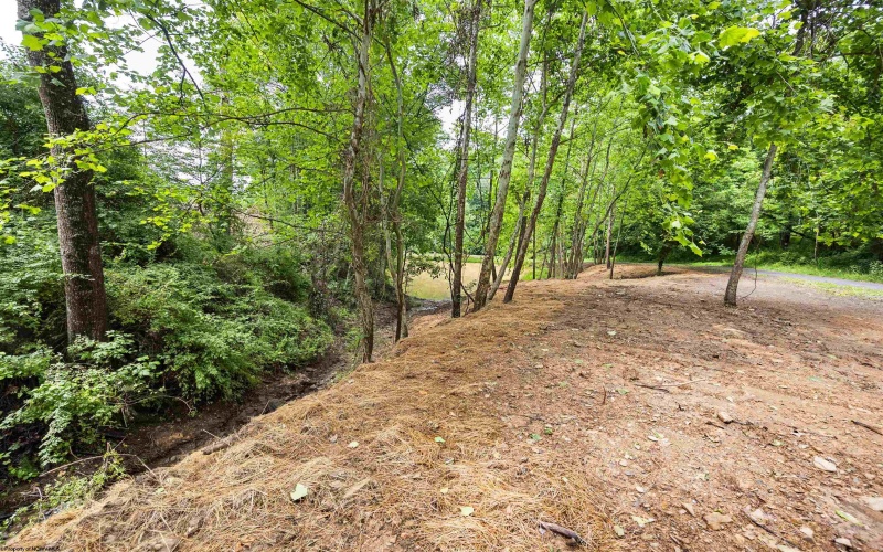 Lot 1 Tulip Lane, Fairmont, West Virginia 26554, 0 , 0 ,0,Lots/land,For Sale,Tulip,0,10165685