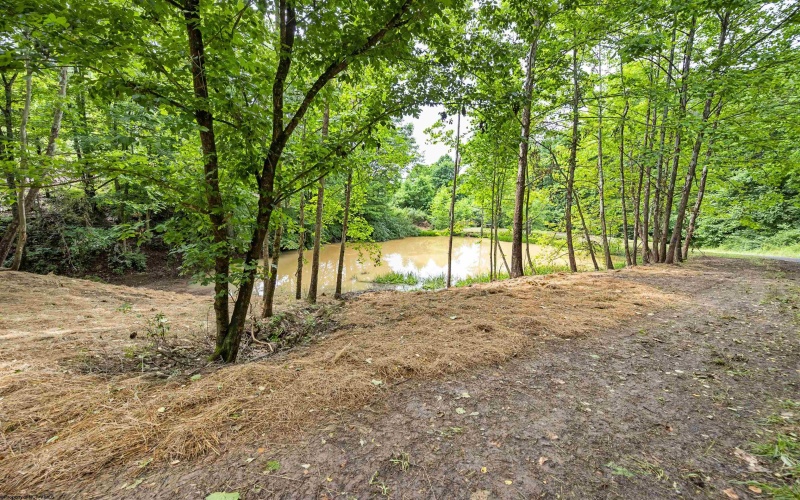 Lot 1 Tulip Lane, Fairmont, West Virginia 26554, 0 , 0 ,0,Lots/land,For Sale,Tulip,0,10165685