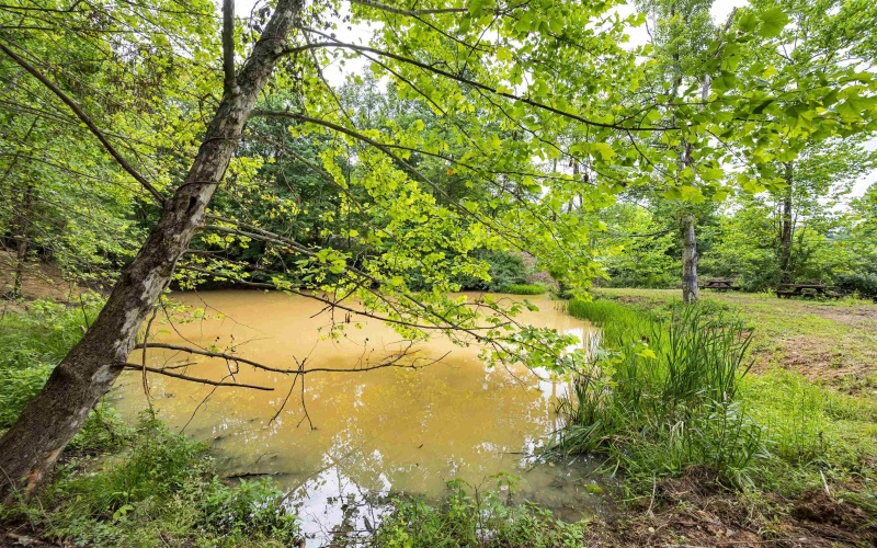 Lot 1 Tulip Lane, Fairmont, West Virginia 26554, 0 , 0 ,0,Lots/land,For Sale,Tulip,0,10165685