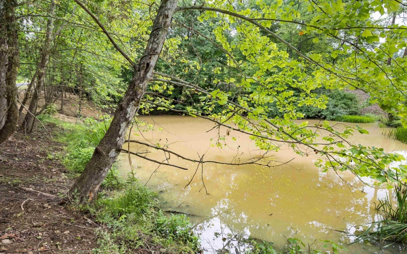 Lot 1 Tulip Lane, Fairmont, West Virginia 26554, 0 , 0 ,0,Lots/land,For Sale,Tulip,0,10165685