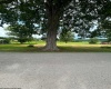 123 Freemans Road, French Creek, West Virginia 26218, 0 , 0 ,0,Lots/land,For Sale,Freemans,0,10165715