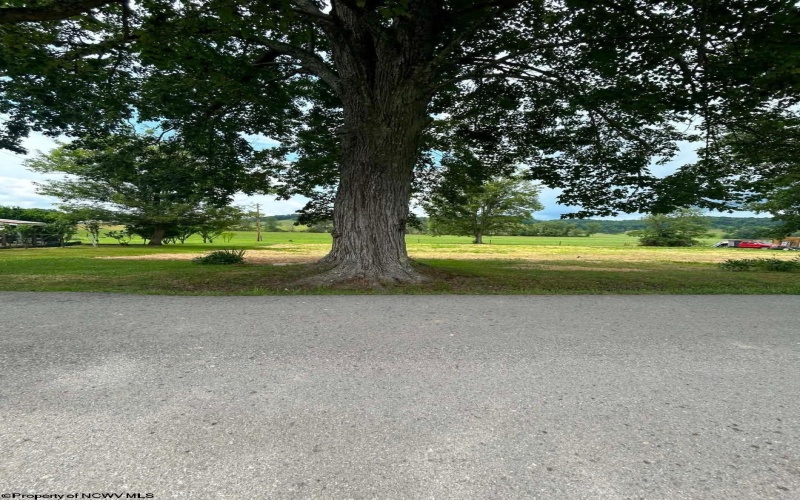 123 Freemans Road, French Creek, West Virginia 26218, 0 , 0 ,0,Lots/land,For Sale,Freemans,0,10165715