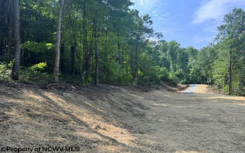 TBD Locust Grove Road, Kasson, West Virginia 26405, 0 , 0 ,0,Lots/land,For Sale,Locust Grove,0,10165714