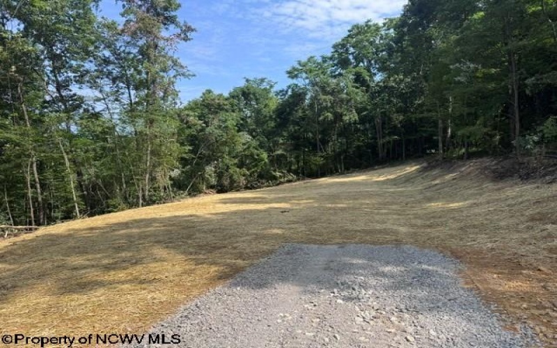 TBD Locust Grove Road, Kasson, West Virginia 26405, 0 , 0 ,0,Lots/land,For Sale,Locust Grove,0,10165714