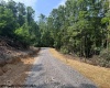 TBD Locust Grove Road, Kasson, West Virginia 26405, 0 , 0 ,0,Lots/land,For Sale,Locust Grove,0,10165714