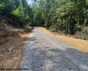 TBD Locust Grove Road, Kasson, West Virginia 26405, 0 , 0 ,0,Lots/land,For Sale,Locust Grove,0,10165714