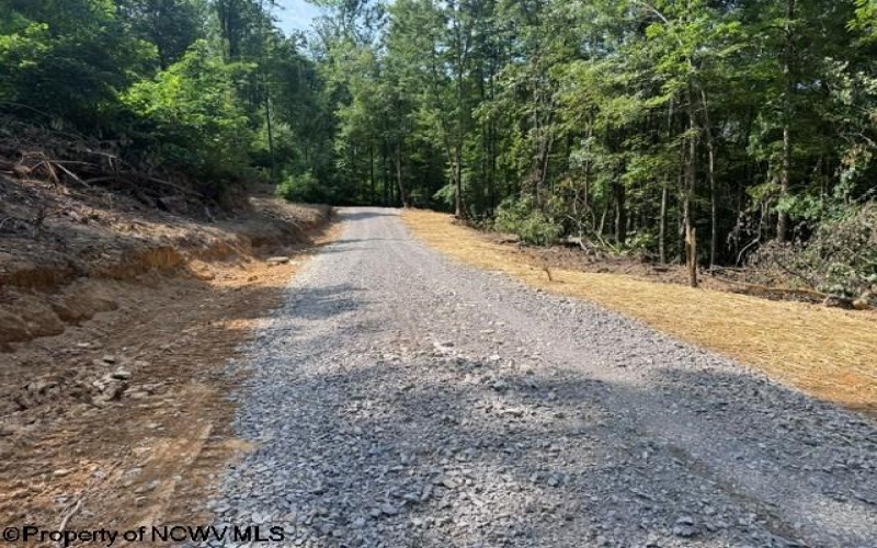 TBD Locust Grove Road, Kasson, West Virginia 26405, 0 , 0 ,0,Lots/land,For Sale,Locust Grove,0,10165714