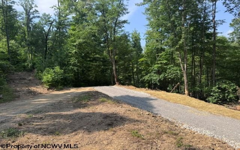 TBD Locust Grove Road, Kasson, West Virginia 26405, 0 , 0 ,0,Lots/land,For Sale,Locust Grove,0,10165714