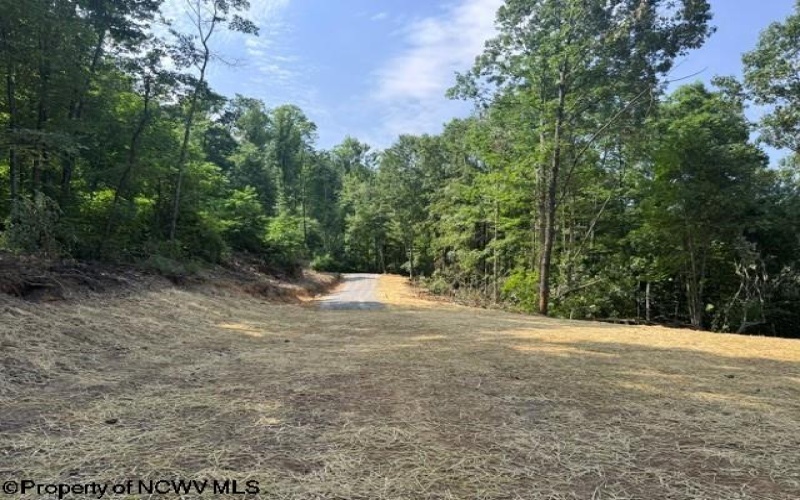 TBD Locust Grove Road, Kasson, West Virginia 26405, 0 , 0 ,0,Lots/land,For Sale,Locust Grove,0,10165714