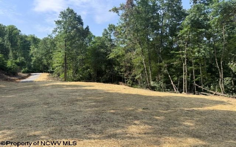 TBD Locust Grove Road, Kasson, West Virginia 26405, 0 , 0 ,0,Lots/land,For Sale,Locust Grove,0,10165714