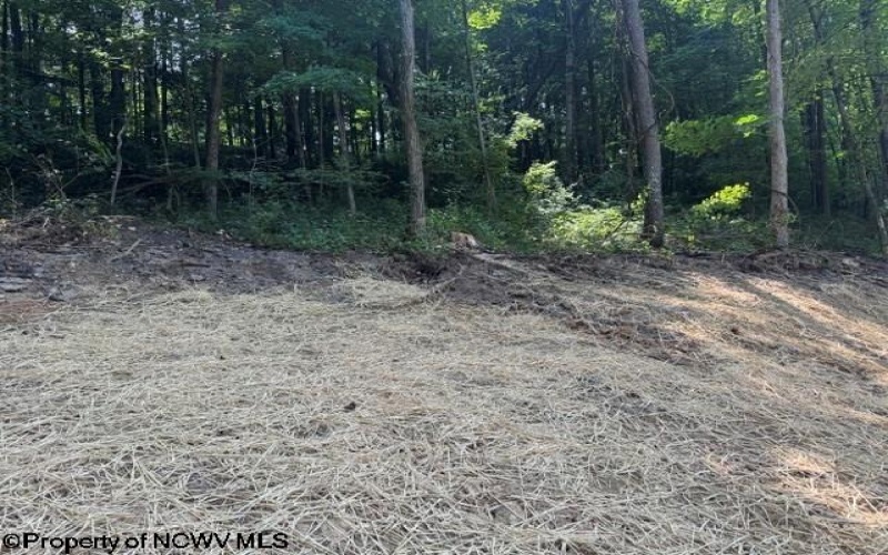 TBD Locust Grove Road, Kasson, West Virginia 26405, 0 , 0 ,0,Lots/land,For Sale,Locust Grove,0,10165714
