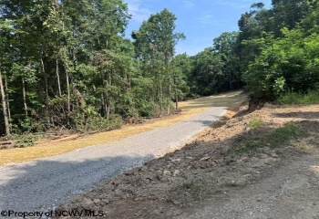 TBD Locust Grove Road, Kasson, West Virginia 26405, 0 , 0 ,0,Lots/land,For Sale,Locust Grove,0,10165714